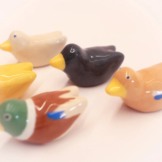 tiny duck - manon mangnez | tiny festival