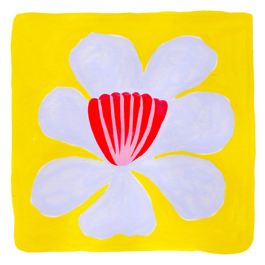 spring wildflowers | original artwork