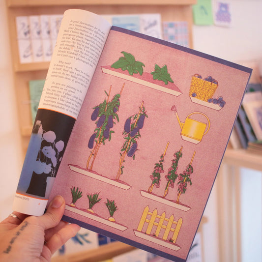 pleasant place 2: nasturtiums | zine