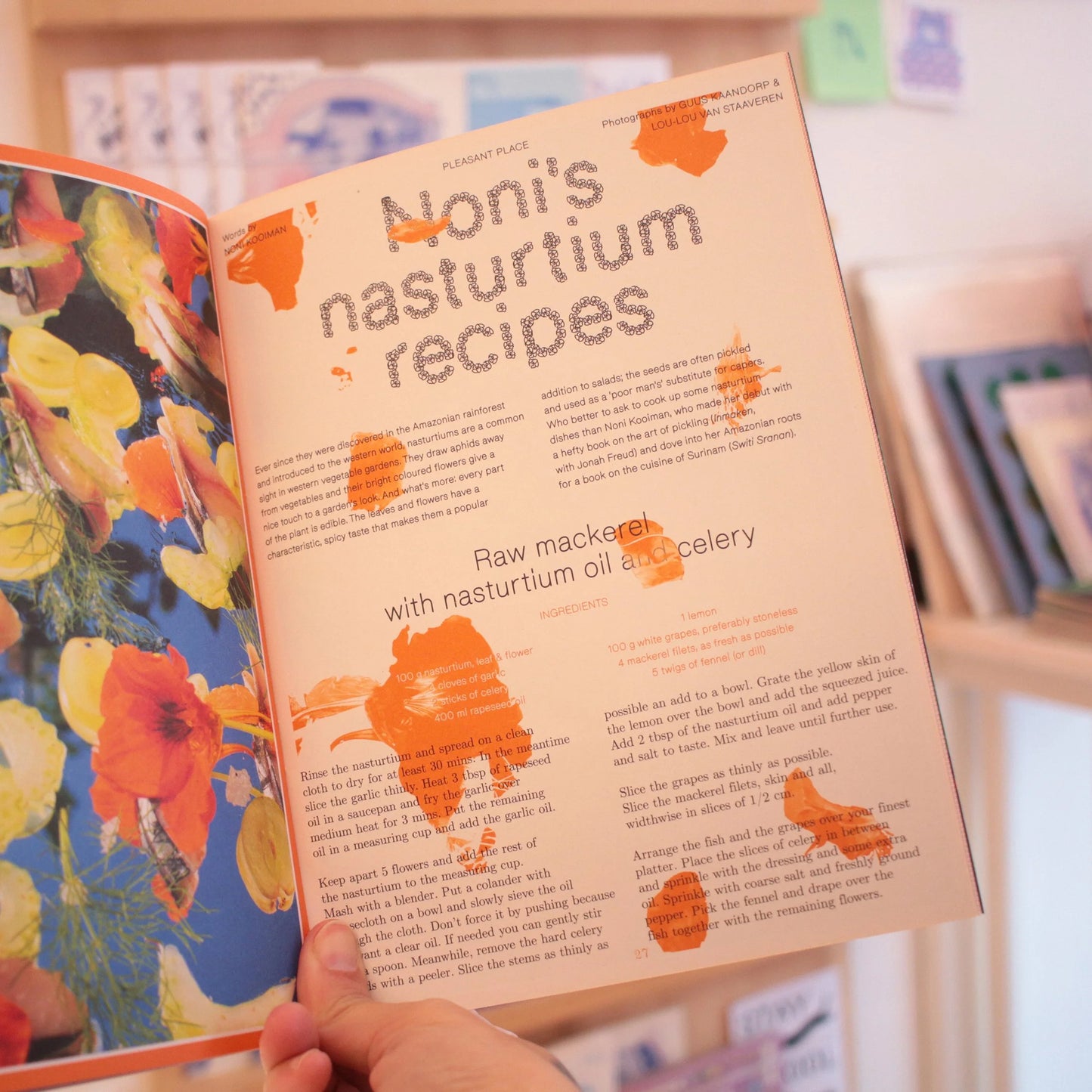 pleasant place 2: nasturtiums | zine