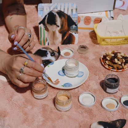 pansy x studio amsel