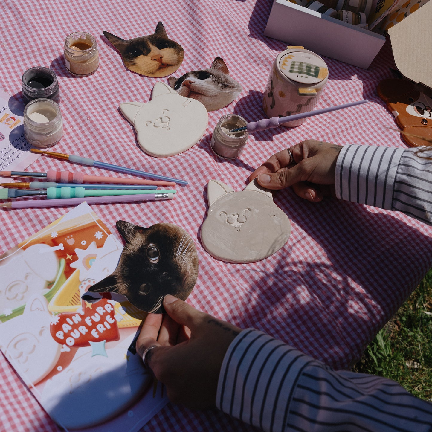 pansy x studio amsel