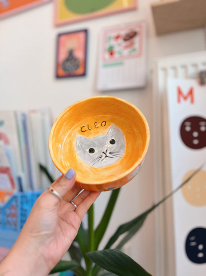ceramic painting: pet bowl