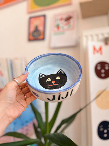 ceramic painting: pet bowl