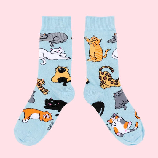 coucou suzette socks - meow