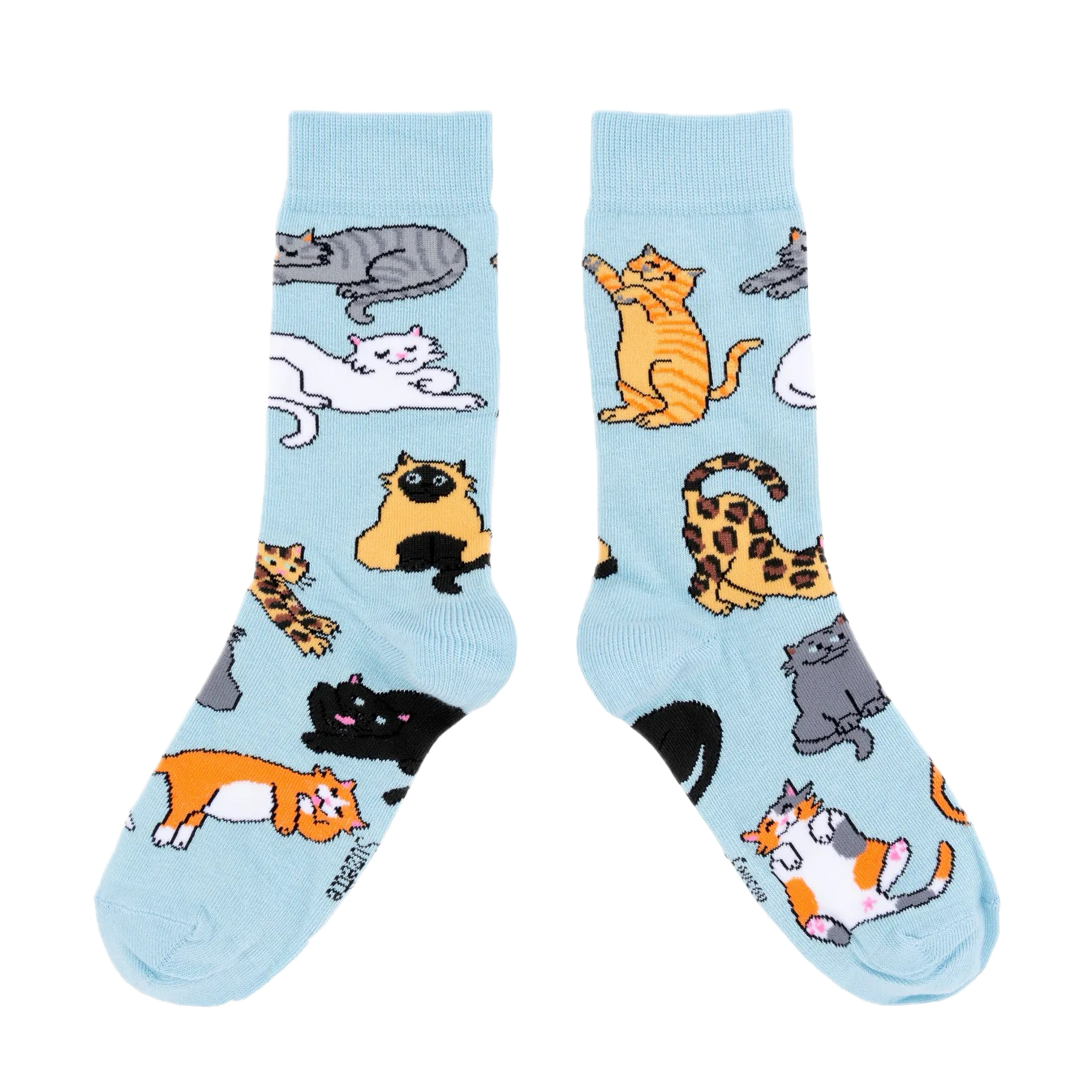 coucou suzette socks - meow