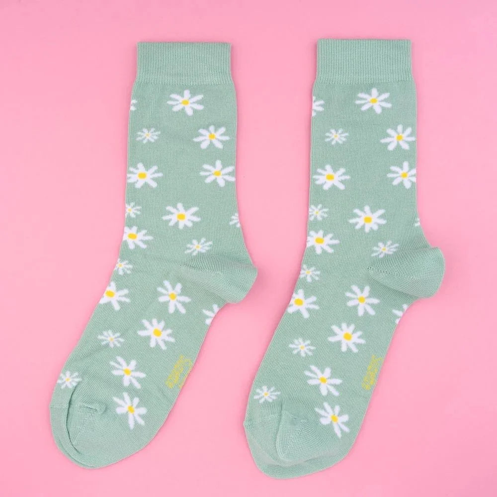 coucou suzette socks - daisy