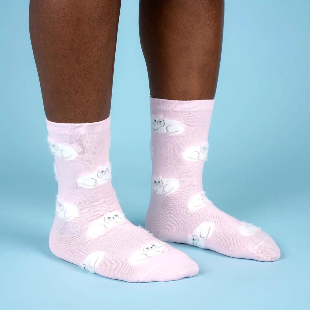 coucou suzette socks - persian cat