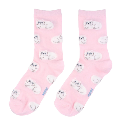 coucou suzette socks - persian cat