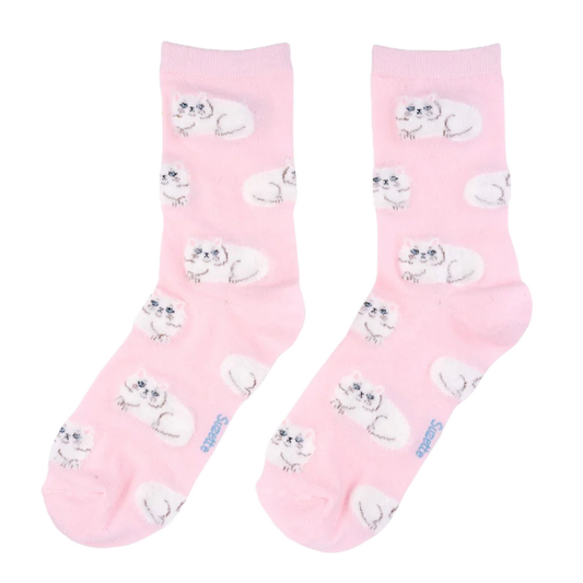 coucou suzette socks - persian cat