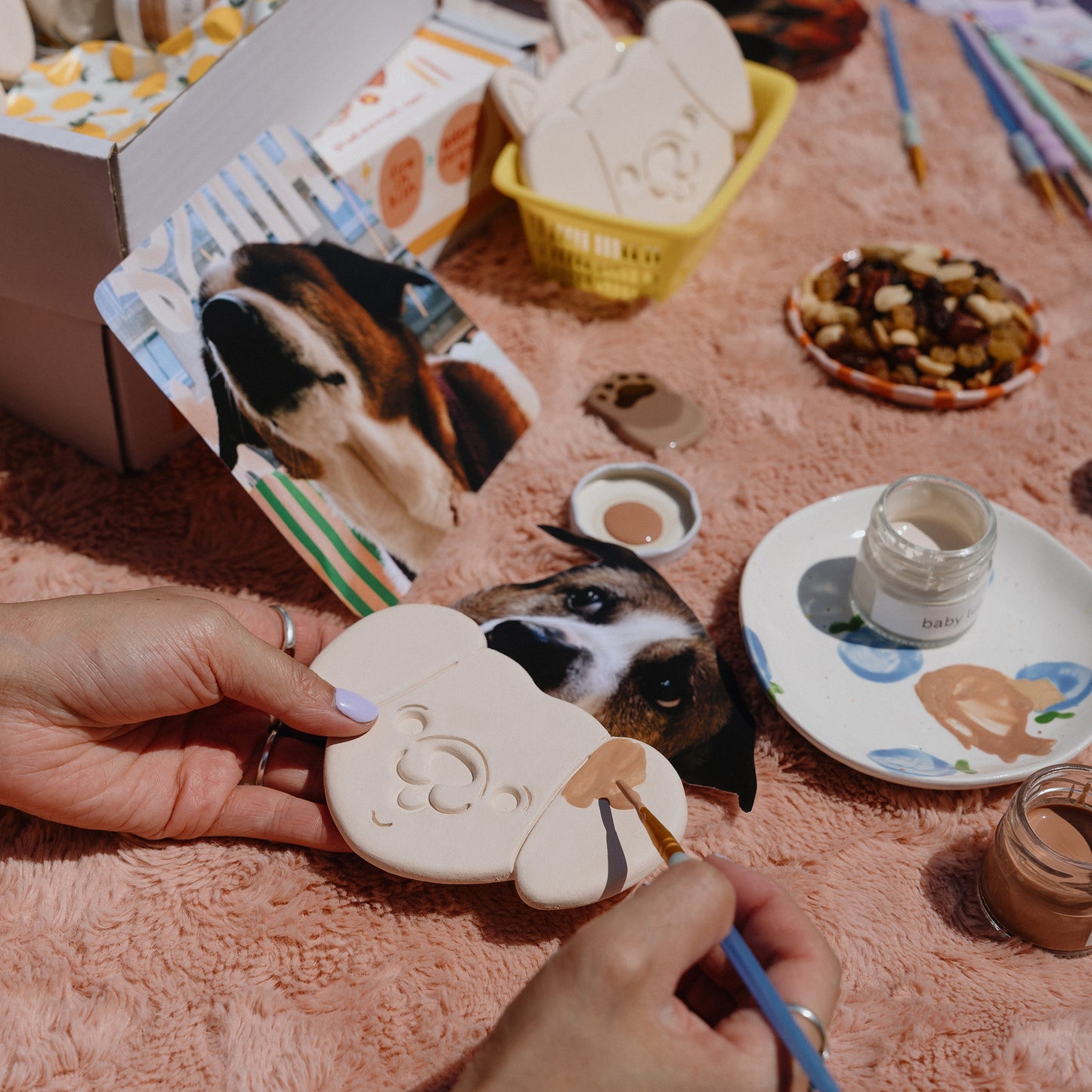 pansy x studio amsel