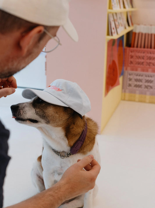dad cap | TINY FEST