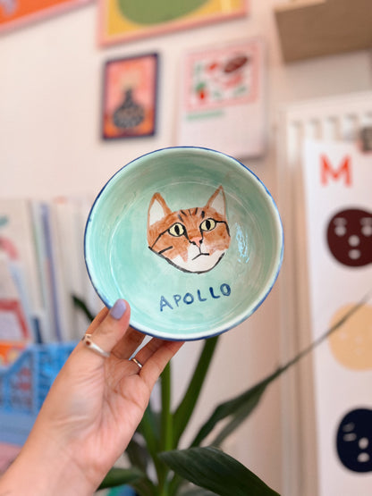 ceramic painting: pet bowl