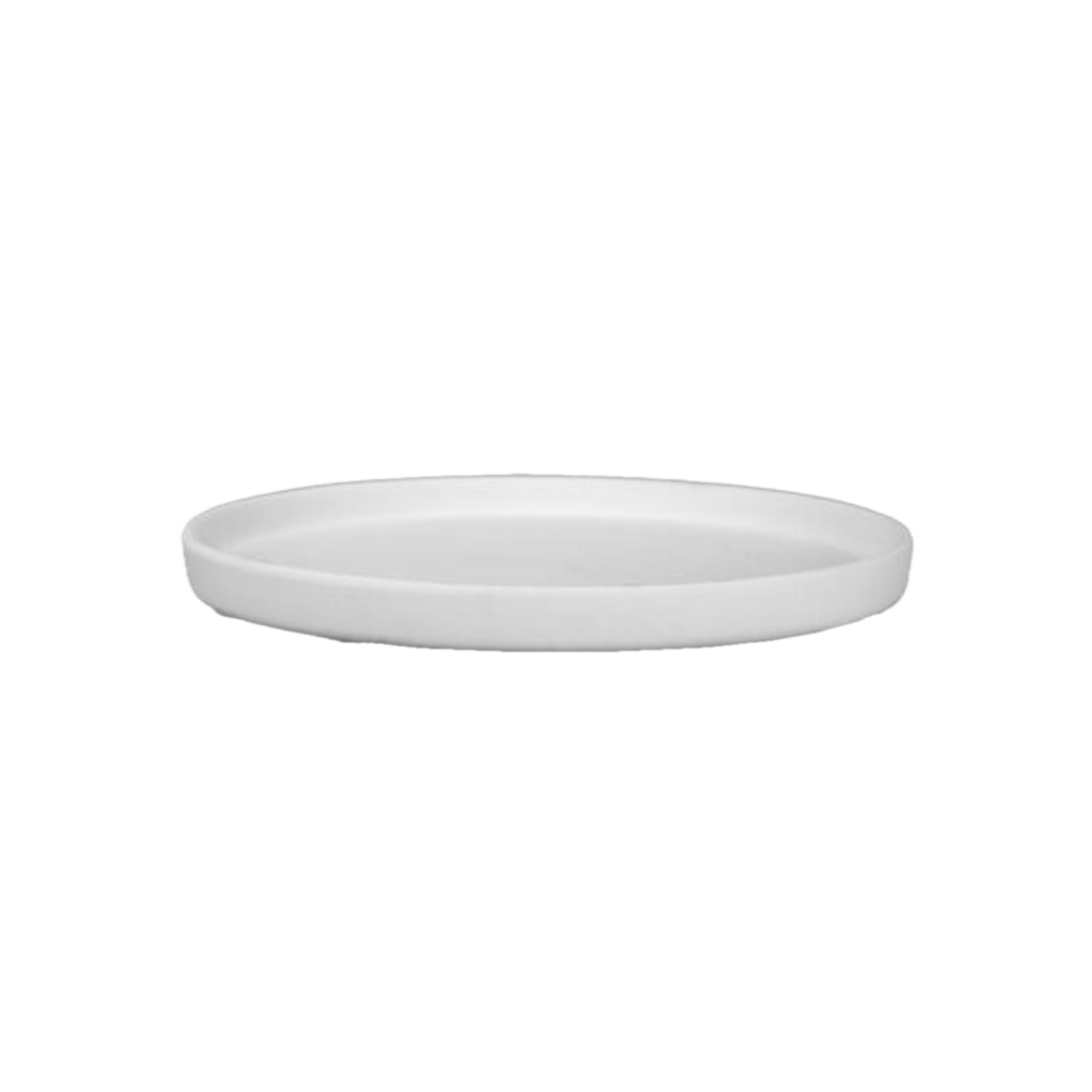 ceramic object (plate)