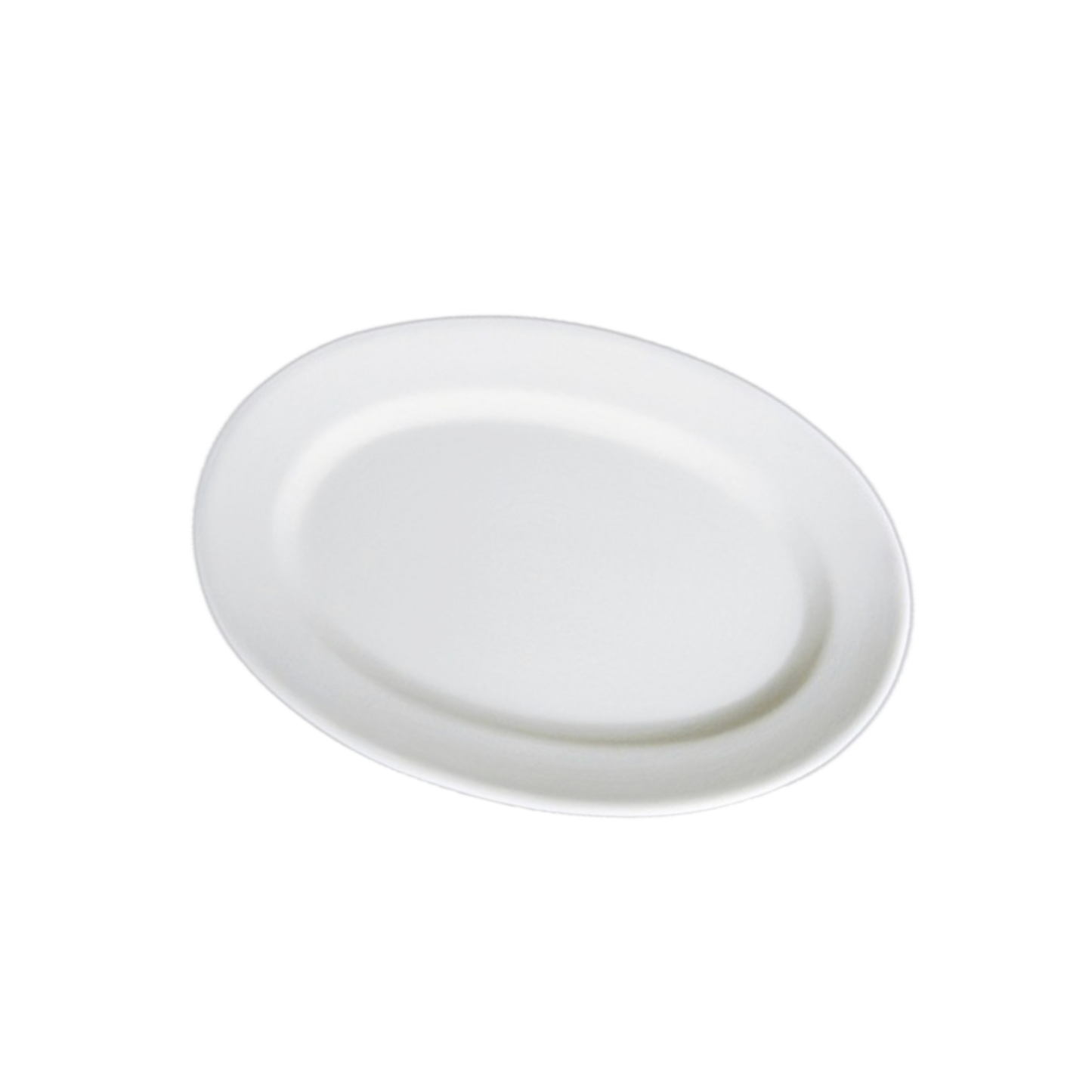 ceramic object (plate)