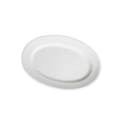 ceramic object (plate)