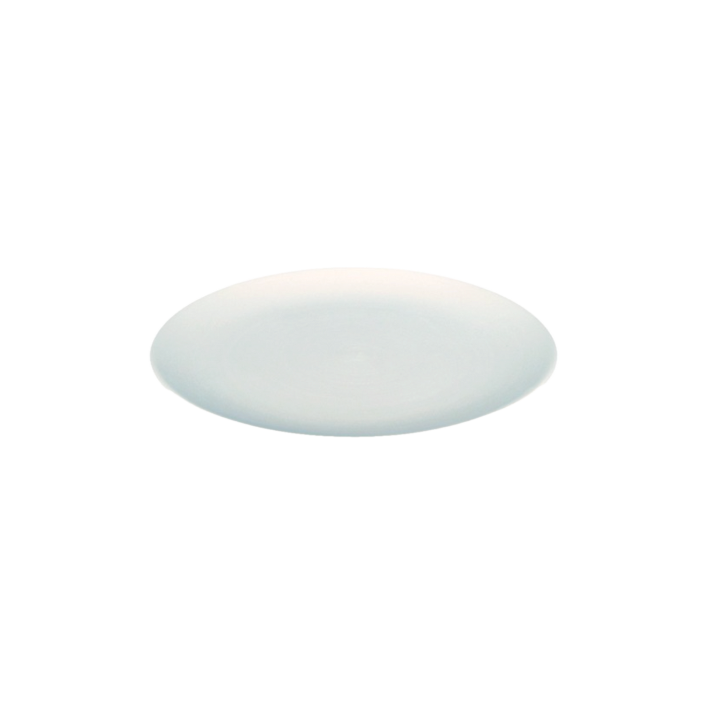 ceramic object (plate)