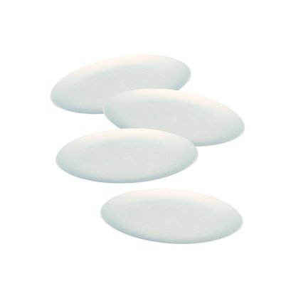 ceramic object (plate)
