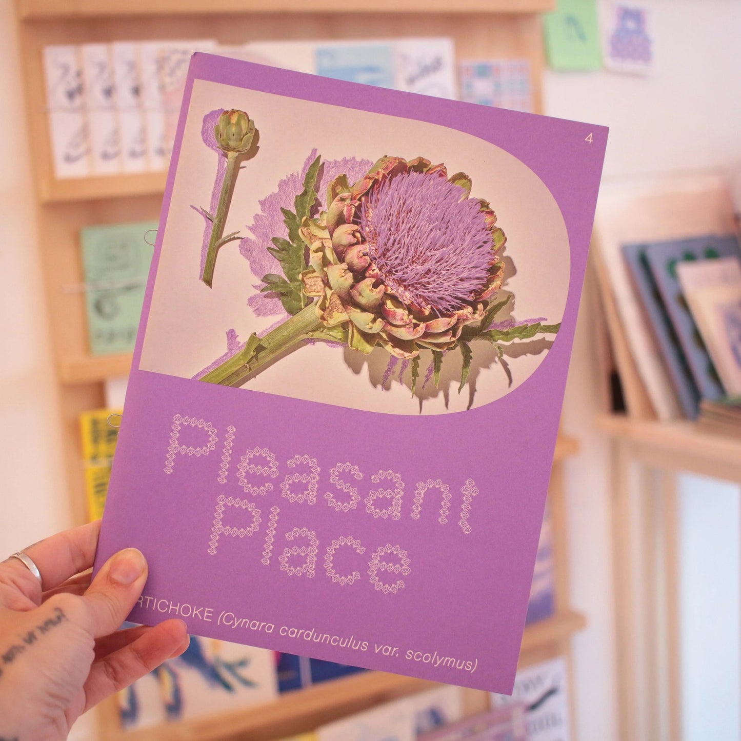 pleasant place 4: artichoke  | zine